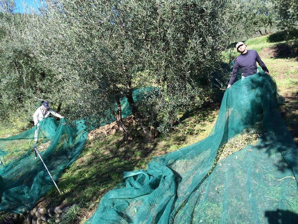 Agriturismo Terrarossa Πιστόια Εξωτερικό φωτογραφία