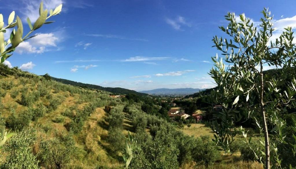 Agriturismo Terrarossa Πιστόια Εξωτερικό φωτογραφία