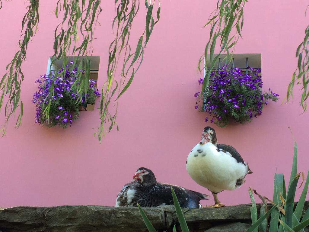 Agriturismo Terrarossa Πιστόια Εξωτερικό φωτογραφία