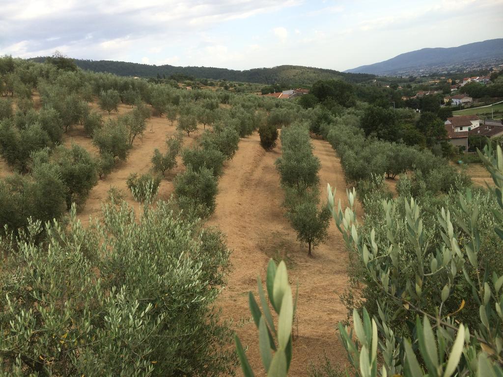 Agriturismo Terrarossa Πιστόια Εξωτερικό φωτογραφία